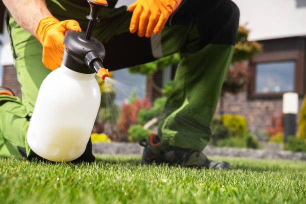Best Best Pest Control Companies  in Hartsdale, NY