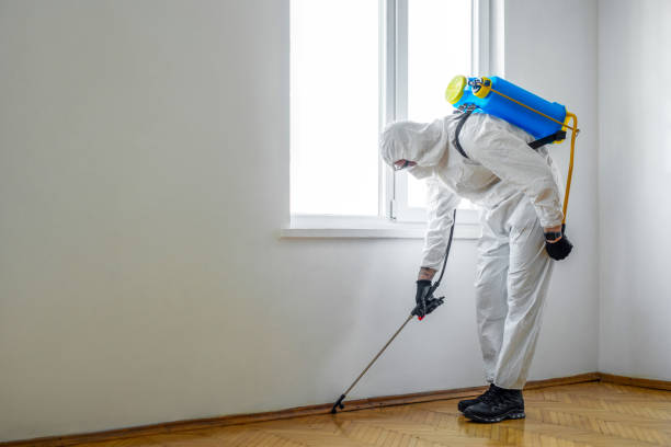 Best Pest Removal Services  in Hartsdale, NY