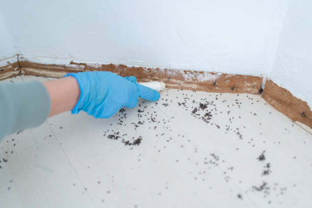 Reliable Hartsdale, NY Pest Control Solutions