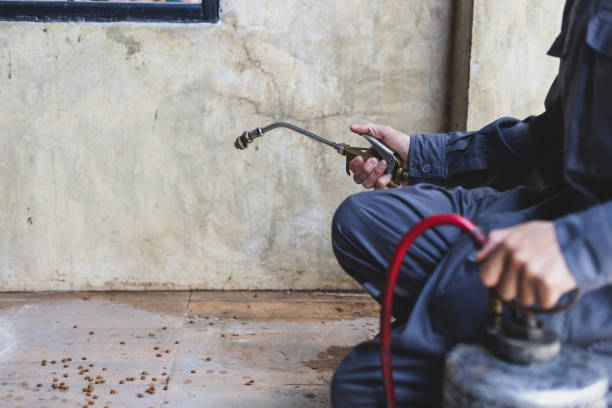 Best Wasp Removal Services  in Hartsdale, NY